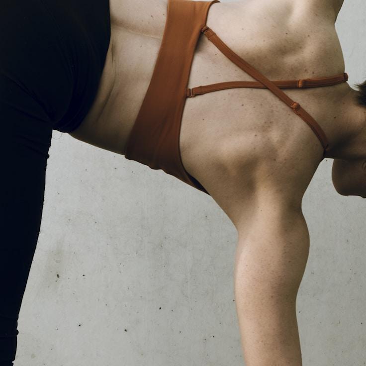 Professional gym with weight equipment